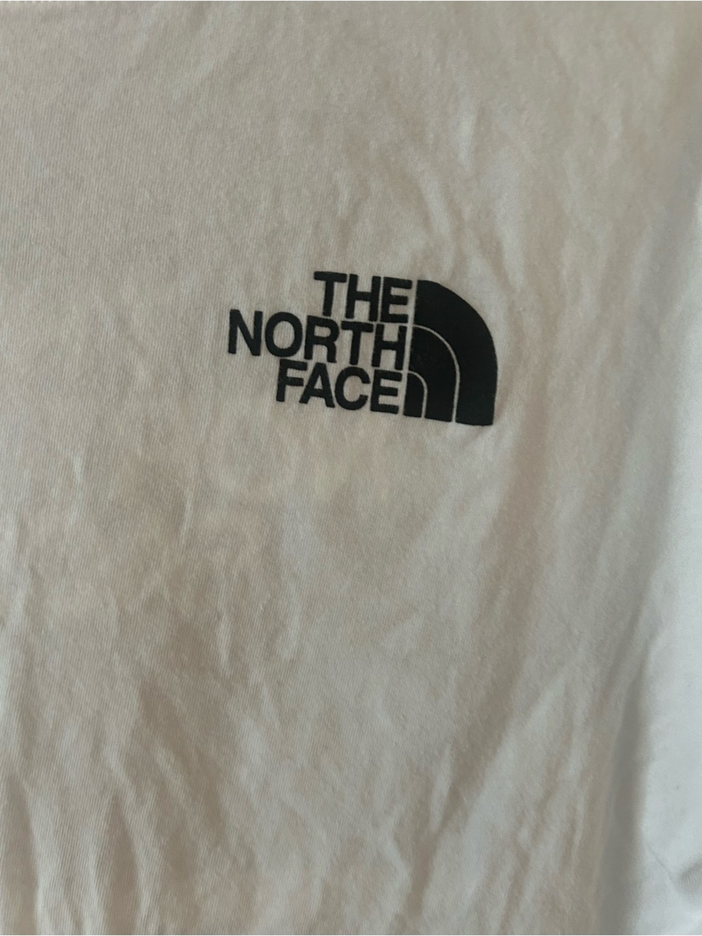 The North Face White T-Shirt with Black Logo Tag